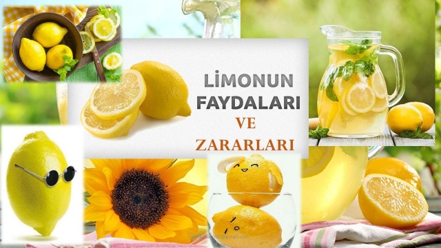 Limonun Sağlığa Faydaları ve Zararları Nelerdir?