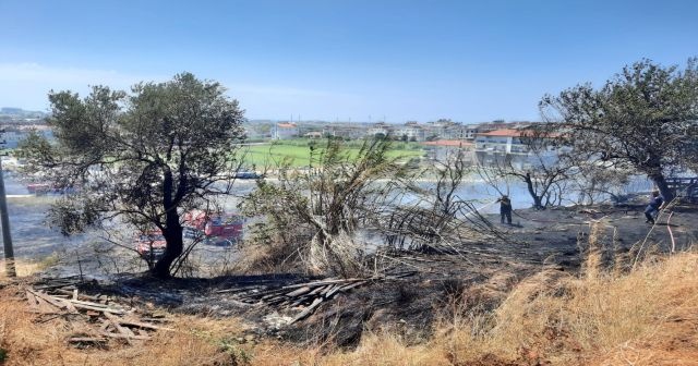 Manavgat Ilıca&#039;da korkutan orman yangını