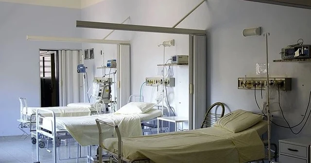 Moğolistan'da hıyarcıklı veba vakaları artıyor