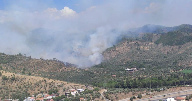 Muğla&#039;da orman yangınına havdan ve karadan müdahale ediliyor