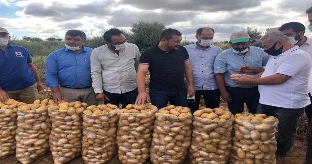 Nevşehir’de patates hasadı başladı