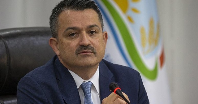 Pakdemirli: “Gün içerisinde çıkan 45 yangın kontrol altına alındı”