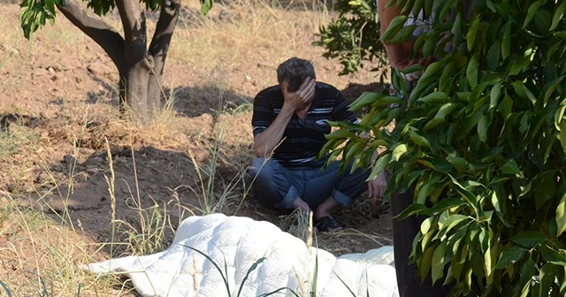 Portakal bahçesinin bekçisi ölü bulundu