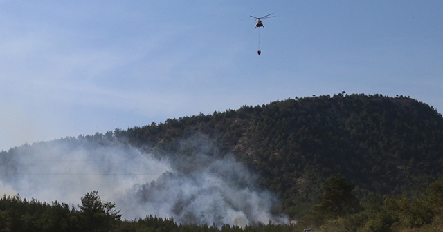 Sakarya&#039;da orman yangını