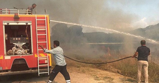 Sakarya'da orman yangını çıktı