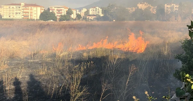 Şehir merkezindeki kuru otlar cayır cayır yandı