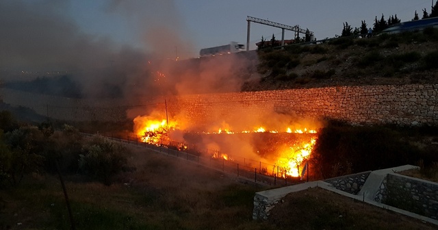 Şehir merkezindeki ot yangını korkuttu