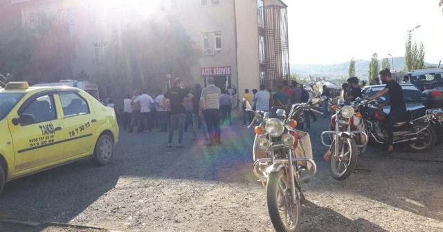 Serinlemek için Aras Nehri'ne giren 2 genç boğuldu