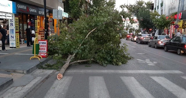 Şiddetli rüzgar aydınlatma lambası ve ağaç dallarını kopardı