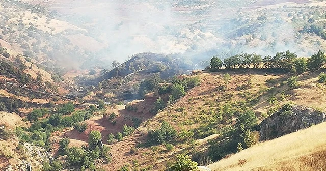 Siirt’te fıstık bahçelerinde yangın