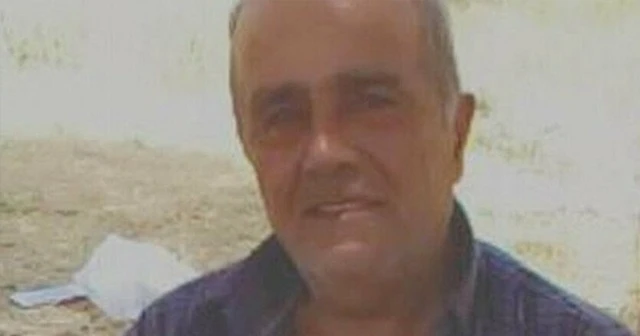 Şırnak'ta arının soktuğu çiftçi hayatını kaybetti