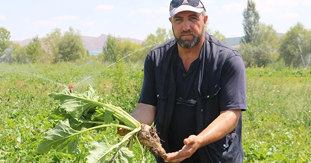 Sivaslı pancar üreticileri fabrika istiyor