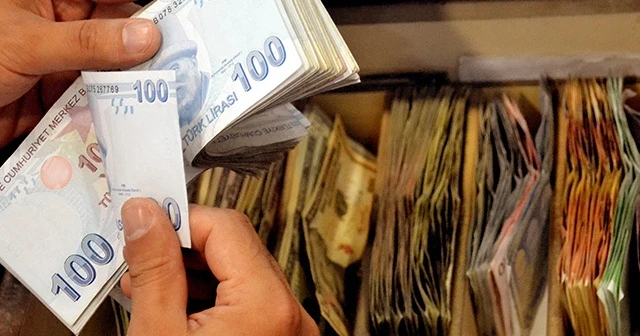 Tasarruf sahipliği oranı yüzde 14,3'e ulaştı