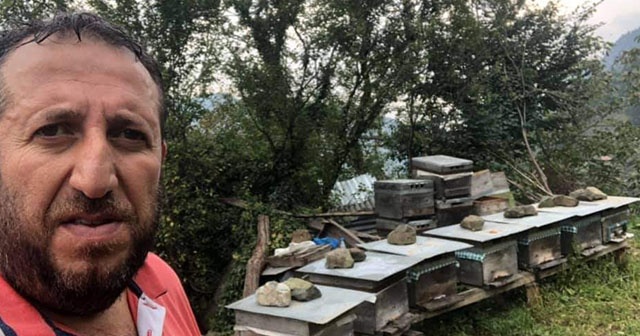 Trabzonlu bal üreticisi arı sokması sonucu hayatını kaybetti