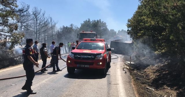 Trafik kazası orman yangınına sebep oldu