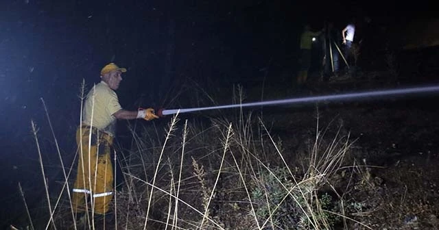 Uşak&#039;taki orman yangını söndürüldü