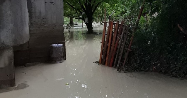 Van&#039;da yağmur, evleri su altında bıraktı