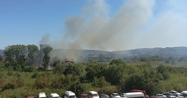 Yalova&#039;da orman yangını