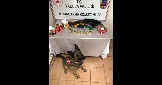 Yalova'da ruhsatsız silah ele geçirildi