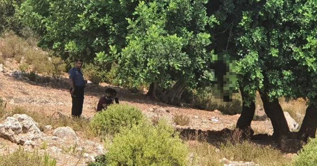 Yamaç paraşütçüsünün dikkati ağaca asılı cesedi buldu