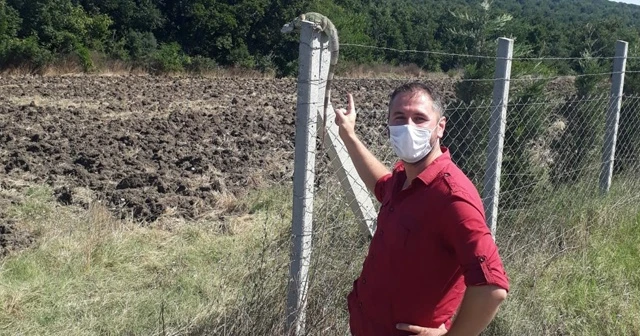 Yoldan geçen vatandaşlar iguana buldu