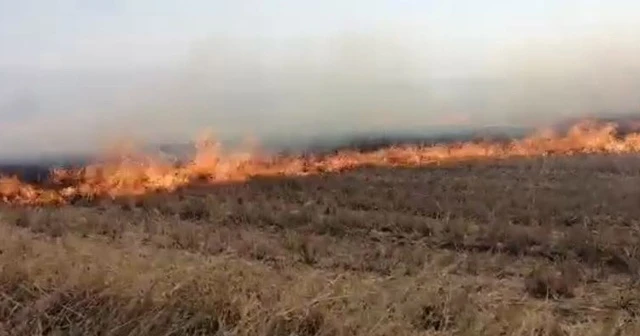 100 dönüm anız alev alev yandı