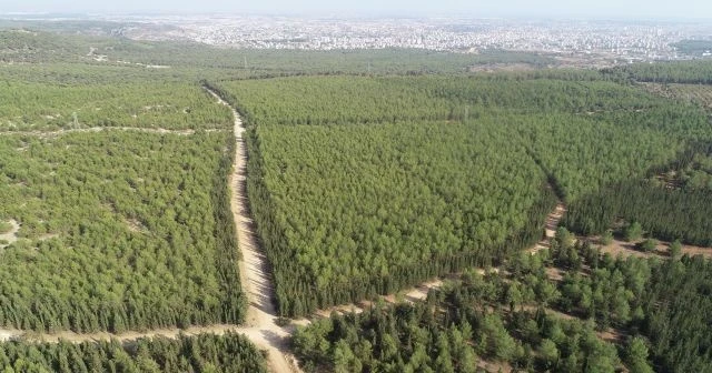13 gündür kayıp kadının cesedi, toprağa gömülü halde bulundu