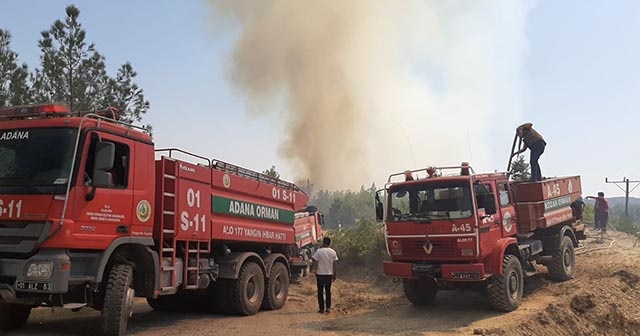 Adana&#039;daki orman yangınını söndürme çalışmaları sürüyor