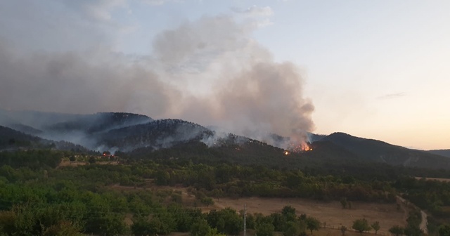 Ankara&#039;da orman yangını