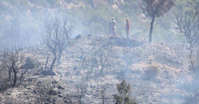 Antalya&#039;da çıkan orman yangınında 5 hektar alan zarar gördü