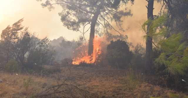 Antalya&#039;da orman yangını