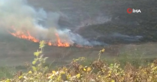 Arnavutköy’de çalılık alandaki yangın söndürüldü
