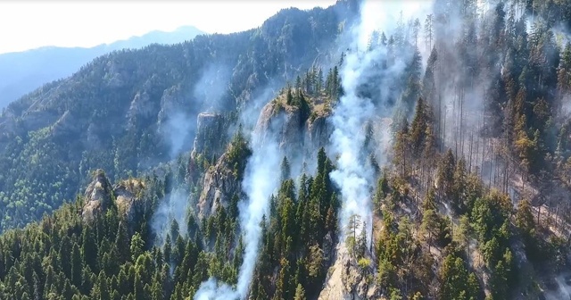 Artvin’deki orman yangını 3 gündür devam ediyor