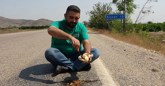 Asfaltta sucuklu yumurta pişirdi