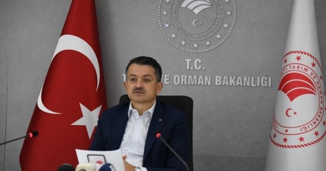 Bakan Pakdemirli: Ankara Nallıhan&#039;da çıkan orman yangını büyük ölçüde kontrol altına alınmıştır