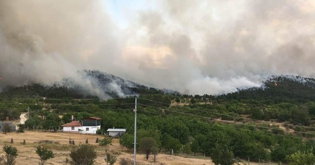 Başkent'te orman yangını yeniden başladı