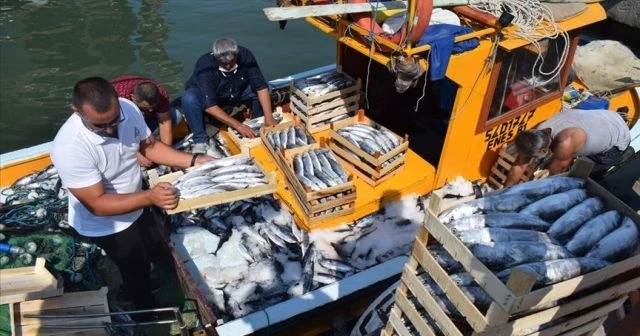 Batı Karadeniz'de palamut bereketi