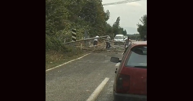 Bursa’da rüzgar ağaçları devirdi, yol trafiğe kapandı