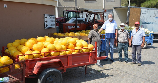 Bursalı çiftçiler kavun hasadından memnun