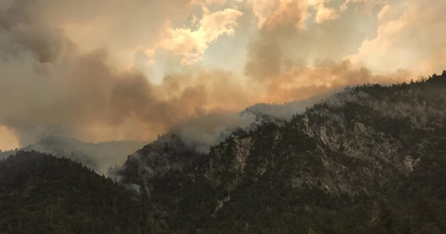 California&#039;daki yangınlar nedeniyle 5 bölgede acil durum ilanı