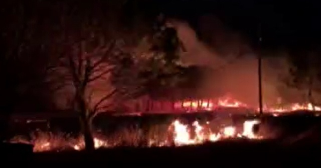 Çanakkale’de orman yangını