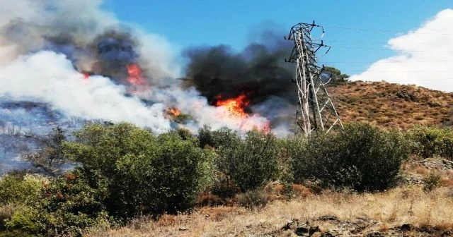 Dalaman'da yangın söndürüldü