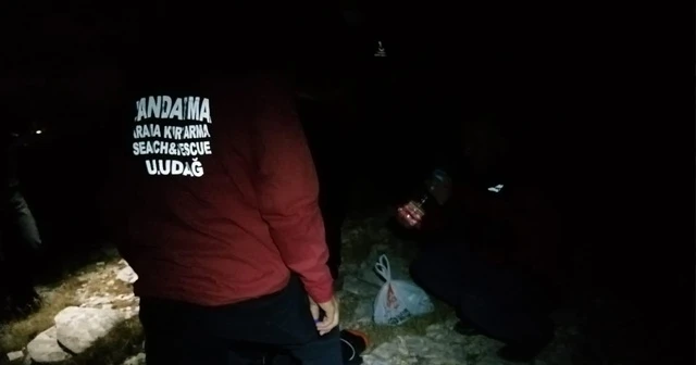 Domuz sandı, arkadaşını vurdu