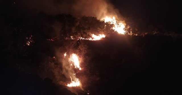 Elazığ&#039;daki orman yangını 30 saatte kontrol altına alındı