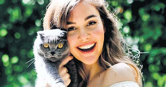 Eser ve Berfu Yenenler'in kedisi corona oldu