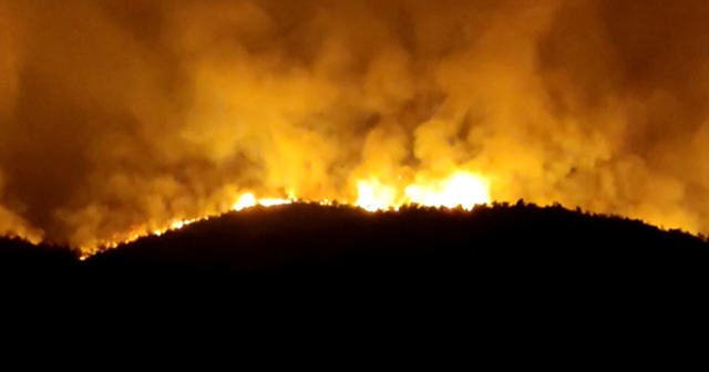 Hatay&#039;daki orman yangını yeniden alevlendi