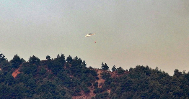 Hatay&#039;daki orman yangınına havadan müdahale tekrar başladı