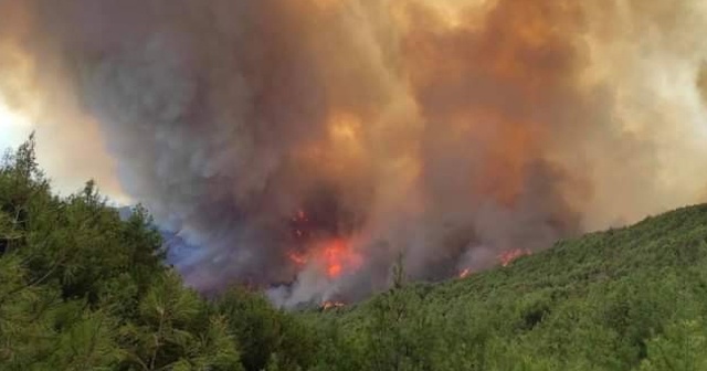 Hatay&#039;daki yangın, rüzgarındaki etkisiyle ormanlık arazilere doğru ilerliyor