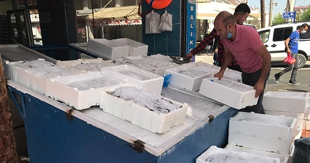 Iğdır’da balıklar tezgahtaki yerini aldı