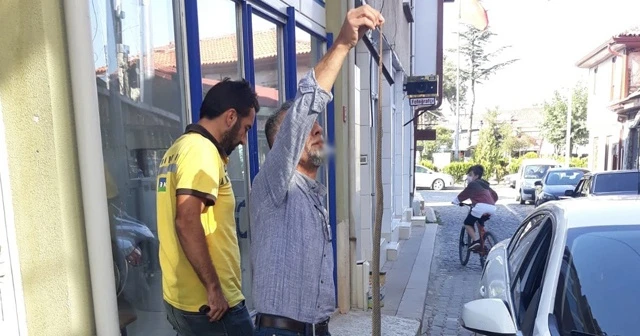 İlçeyi yılanlar bastı